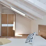 Villa Lapis Zadarvillas *